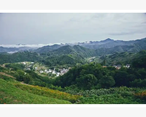 B2B电子商务企业间交易的核心模式